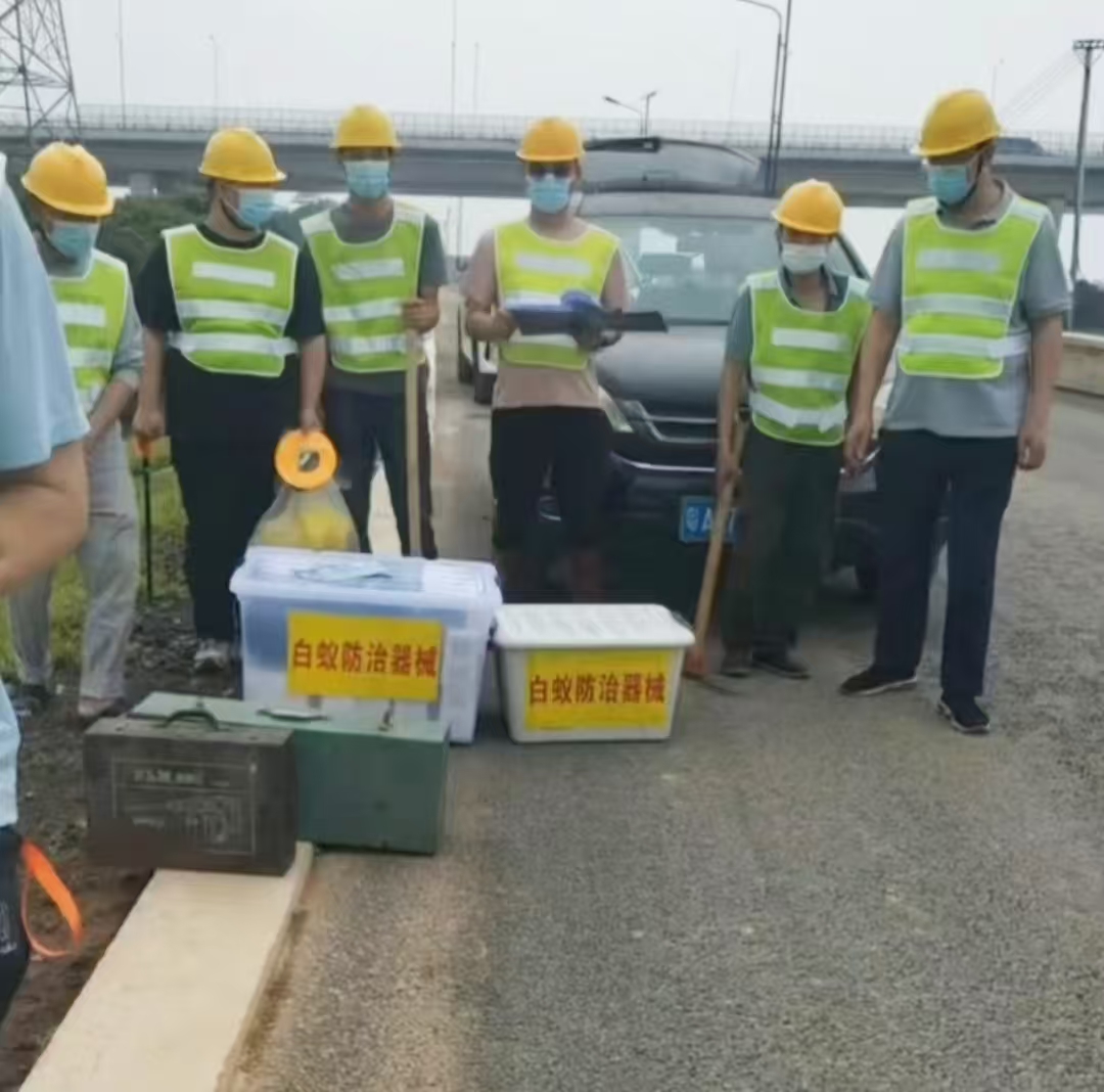 警惕紛飛“白蟻大軍”！廣州市白蟻分飛期全面科普與科學防治指南